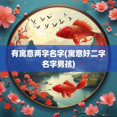 有寓意两字名字(寓意好二字名字男孩)