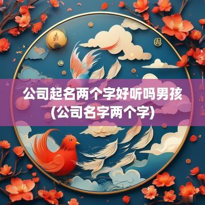 公司起名两个字好听吗男孩(公司名字两个字)