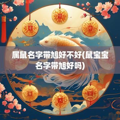 属鼠名字带旭好不好(鼠宝宝名字带旭好吗)