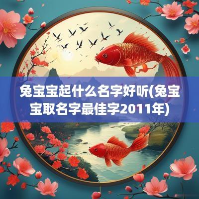 兔宝宝起什么名字好听(兔宝宝取名字最佳字2011年)