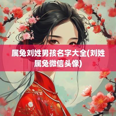 属兔刘姓男孩名字大全(刘姓属兔微信头像)