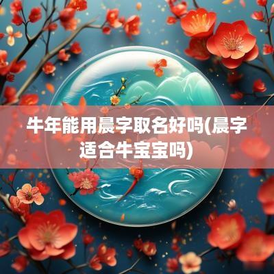 蛇年能用晨字取名好吗(晨字适合牛宝宝吗)