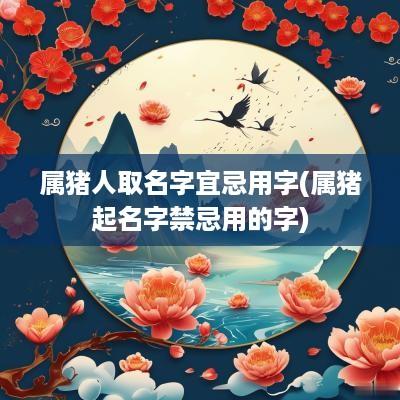 属猪人取名字宜忌用字(属猪起名字禁忌用的字)