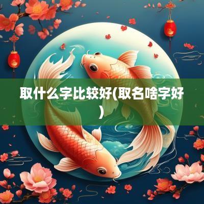取什么字比较好(取名啥字好)
