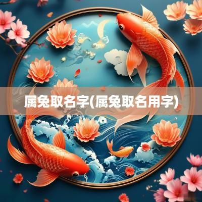 属兔取名字(属兔取名用字)