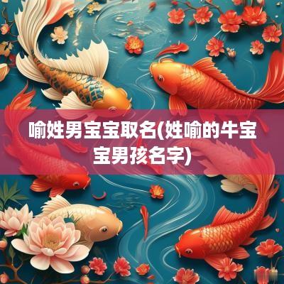 喻姓男宝宝取名(姓喻的牛宝宝男孩名字)