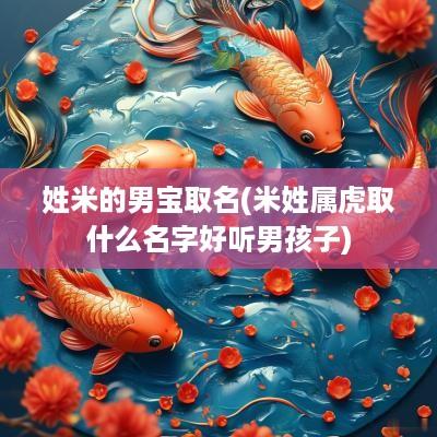 姓米的男宝取名(米姓属虎取什么名字好听男孩子)