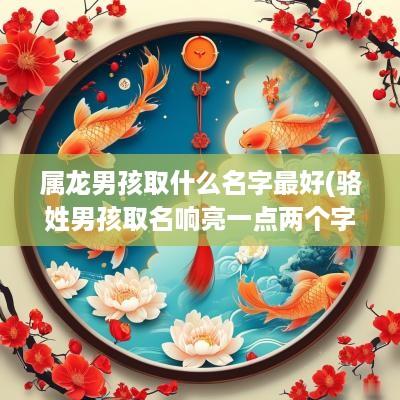 属龙男孩取什么名字最好(骆姓男孩取名响亮一点两个字)