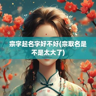 宗字起名字好不好(宗取名是不是太大了)