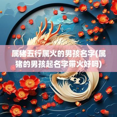 属猪五行属火的男孩名字(属猪的男孩起名字带火好吗)