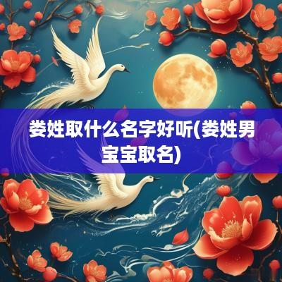 娄姓取什么名字好听(娄姓男宝宝取名)