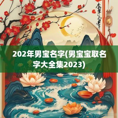202年男宝名字(男宝宝取名字大全集2025)