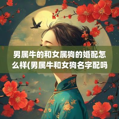 男属牛的和女属狗的婚配怎么样(男属牛和女狗名字配吗好吗婚姻如何)