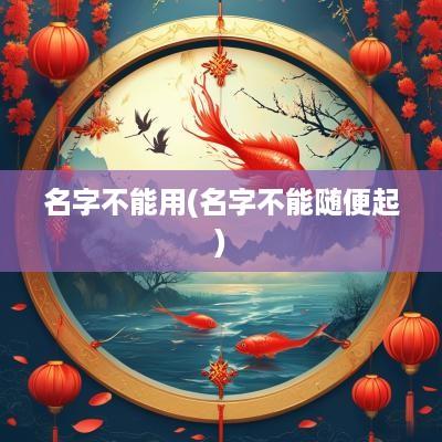 名字不能用(名字不能随便起)