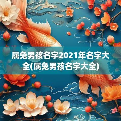 属兔男孩名字2025年名字大全(属兔男孩名字大全)