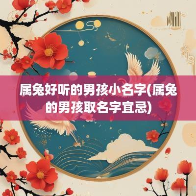 属兔好听的男孩小名字(属兔的男孩取名字宜忌)