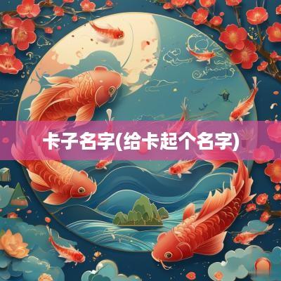 卡子名字(给卡起个名字)