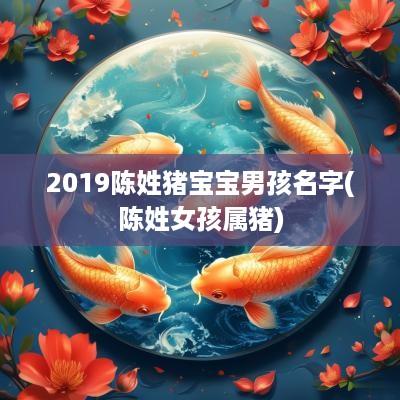 2019陈姓猪宝宝男孩名字(陈姓女孩属猪)