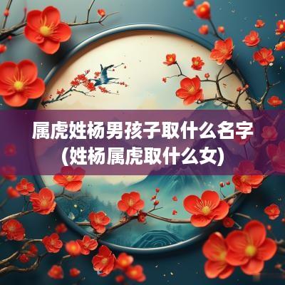 属虎姓杨男孩子取什么名字(姓杨属虎取什么女)