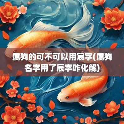 属狗的可不可以用宸字(属狗名字用了辰字咋化解)