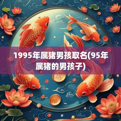 1995年属猪男孩取名(95年属猪的男孩子)