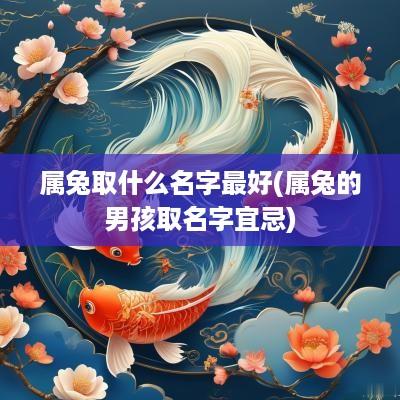 属兔取什么名字最好(属兔的男孩取名字宜忌)
