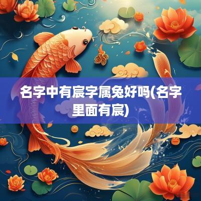 名字中有宸字属兔好吗(名字里面有宸)