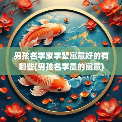 男孩名字家字辈寓意好的有哪些(男孩名字晨的寓意)