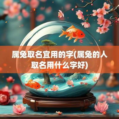 属兔取名宜用的字(属兔的人取名用什么字好)