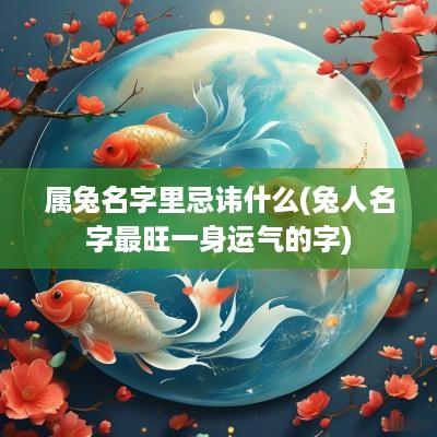 属兔名字里忌讳什么(兔人名字最旺一身运气的字)