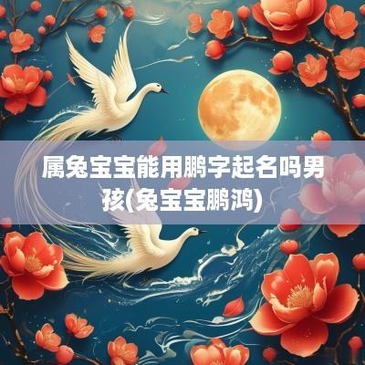 属兔宝宝能用鹏字起名吗男孩(兔宝宝鹏鸿)