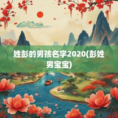 姓彭的男孩名字2025(彭姓男宝宝)
