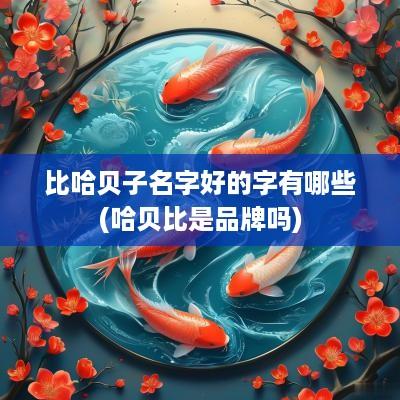 比哈贝子名字好的字有哪些(哈贝比是品牌吗)