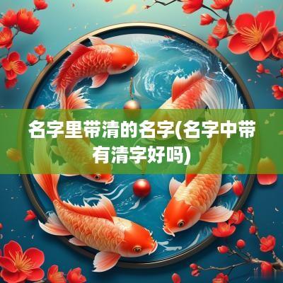 名字里带清的名字(名字中带有清字好吗)