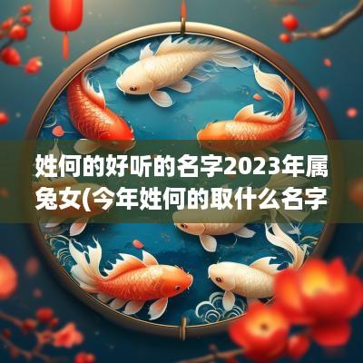 姓何的好听的名字2025年属兔女(今年姓何的取什么名字好)