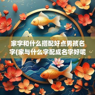 家字和什么搭配好点男孩名字(家与什么字配成名字好呢)