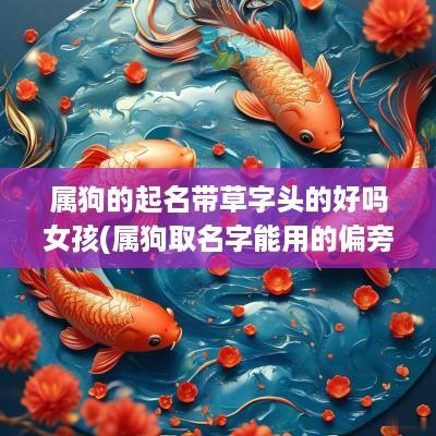 属狗的起名带草字头的好吗女孩(属狗取名字能用的偏旁部首)