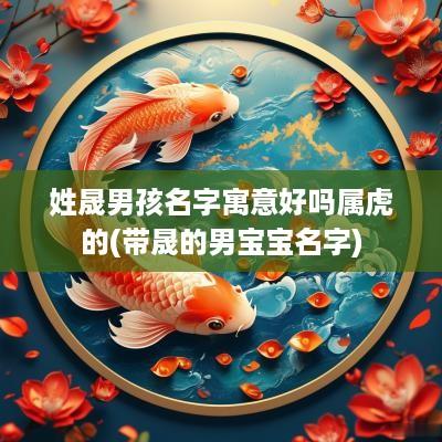 姓晟男孩名字寓意好吗属虎的(带晟的男宝宝名字)