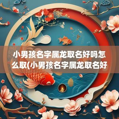 小男孩名字属龙取名好吗怎么取(小男孩名字属龙取名好吗)