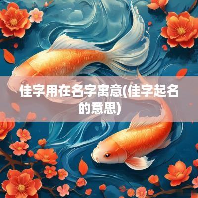 佳字用在名字寓意(佳字起名的意思)