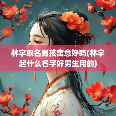 林字取名男孩寓意好吗(林字起什么名字好男生用的)