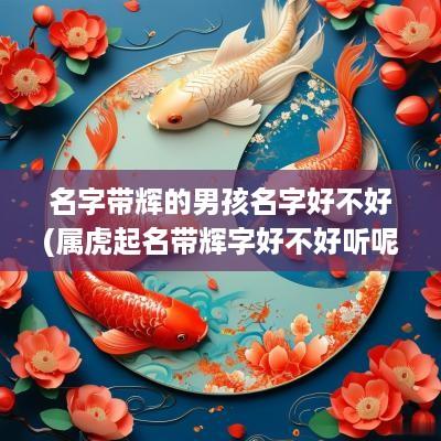 名字带辉的男孩名字好不好(属虎起名带辉字好不好听呢)