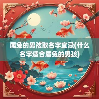 属兔的男孩取名字宜忌(什么名字适合属兔的男孩)