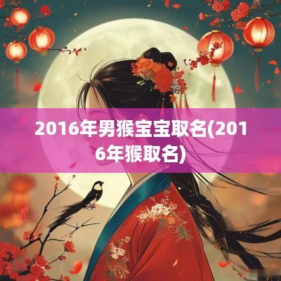 2016年男猴宝宝取名(2016年猴取名)
