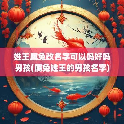 姓王属兔改名字可以吗好吗男孩(属兔姓王的男孩名字)