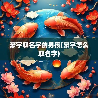豪字取名字的男孩(豪字怎么取名字)