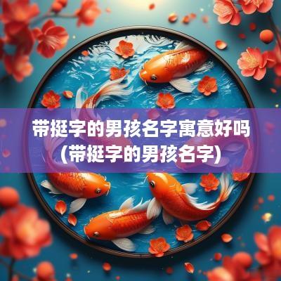带挺字的男孩名字寓意好吗(带挺字的男孩名字)