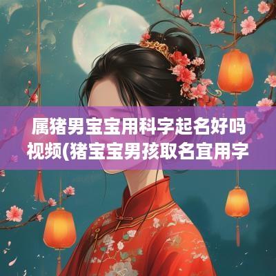 属猪男宝宝用科字起名好吗视频(猪宝宝男孩取名宜用字)
