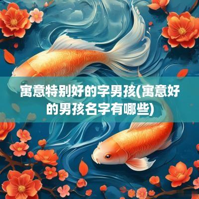 寓意特别好的字男孩(寓意好的男孩名字有哪些)