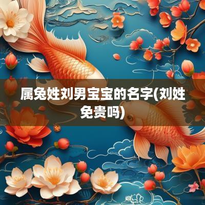 属兔姓刘男宝宝的名字(刘姓免贵吗)
